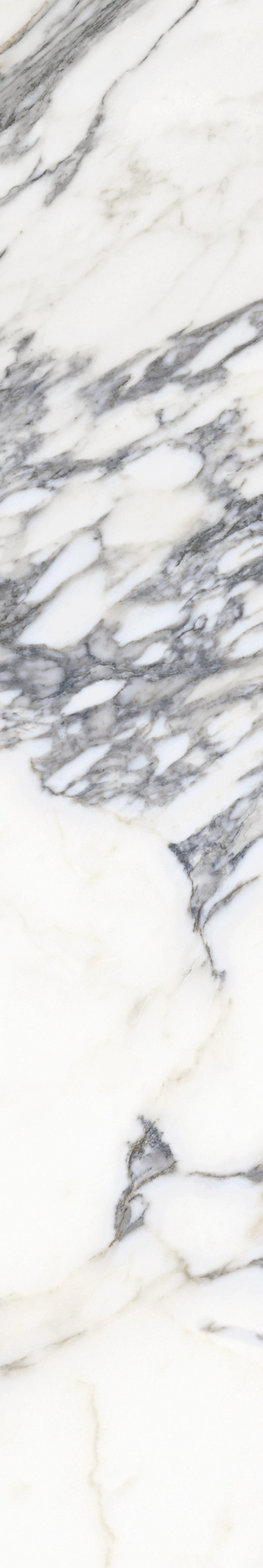 Marmi Arabesque Nero 20x120cm